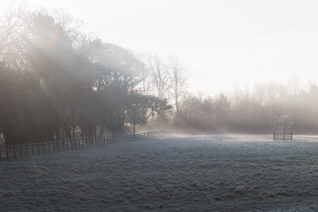 Winter's day at Carlowrie Castle, Edinburgh.