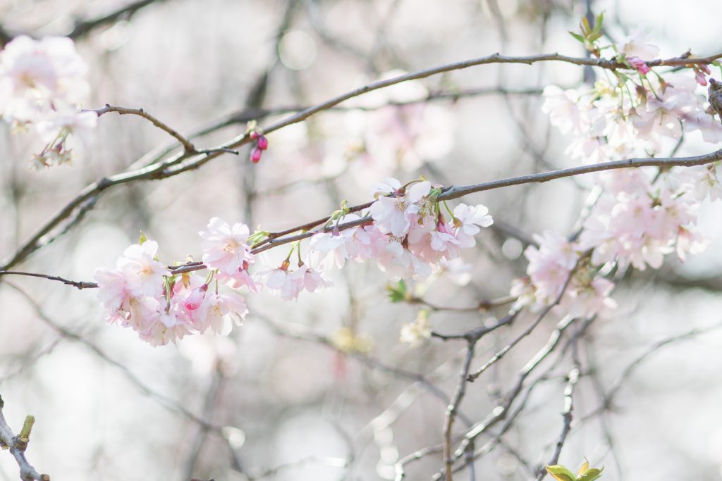 Fine Art Wedding Photographer London Engagement Session