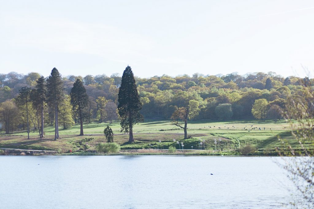 The lake at Trentham Gardens in Staffordshire.