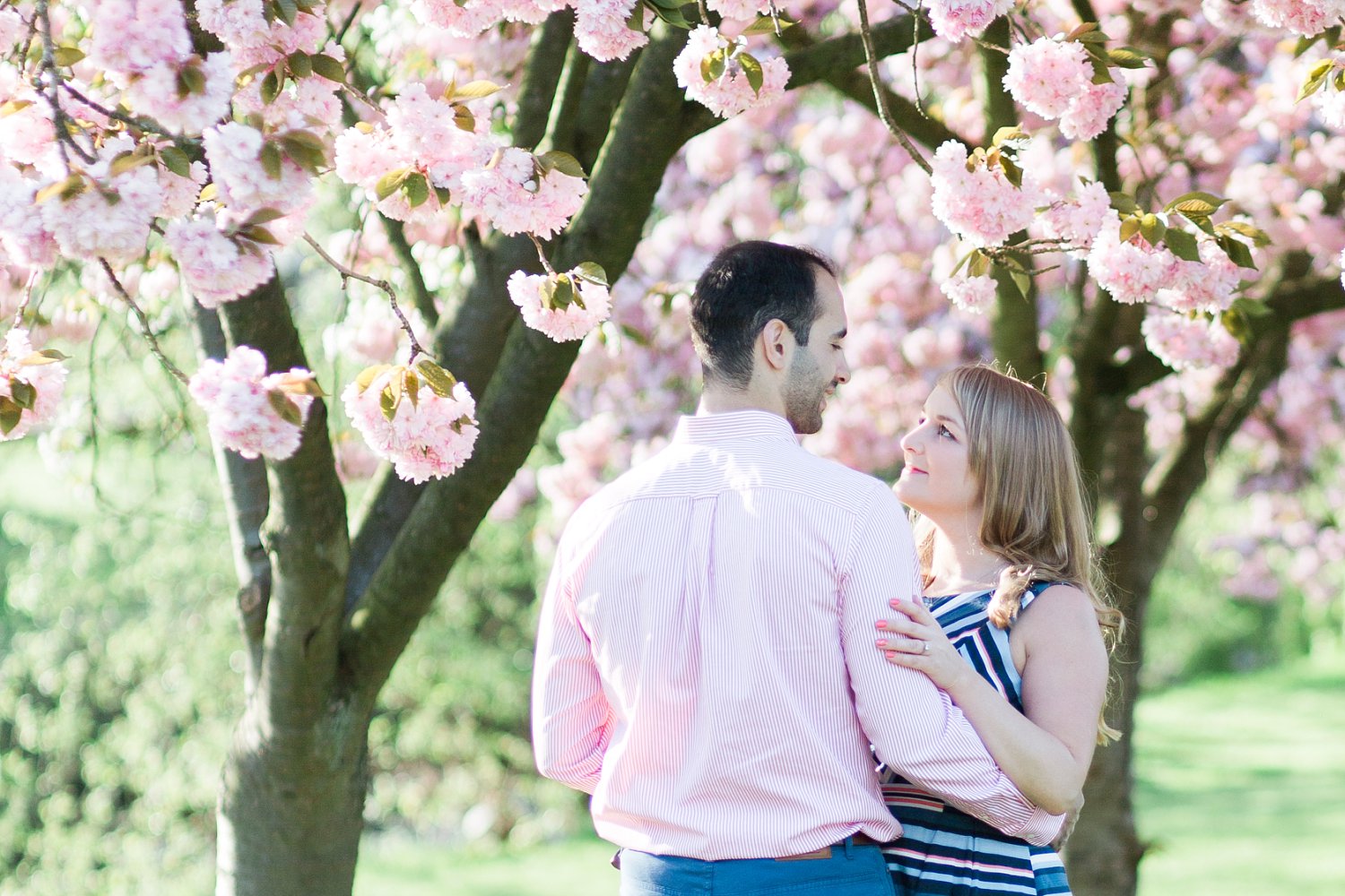Springtime engagement shoot with tree blossom photo