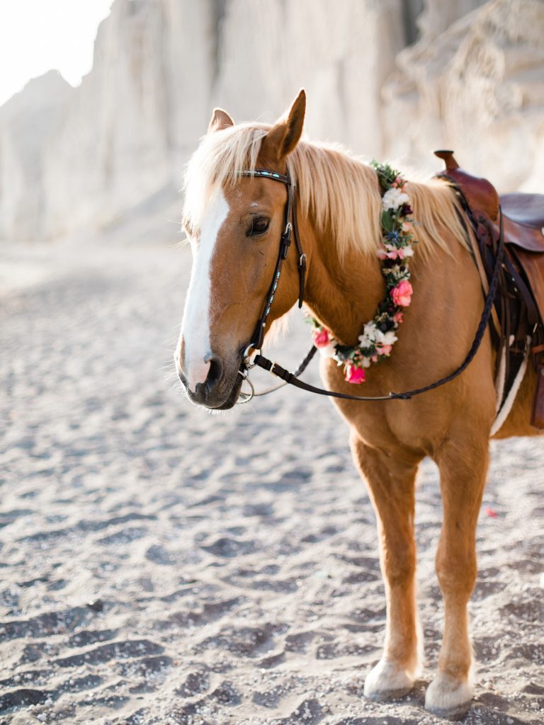 Horse on the beach for a wedding in Santorini