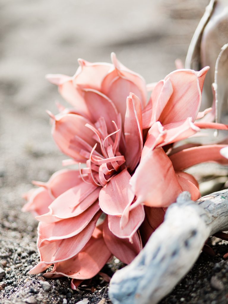 Coral details for a destination beach wedding