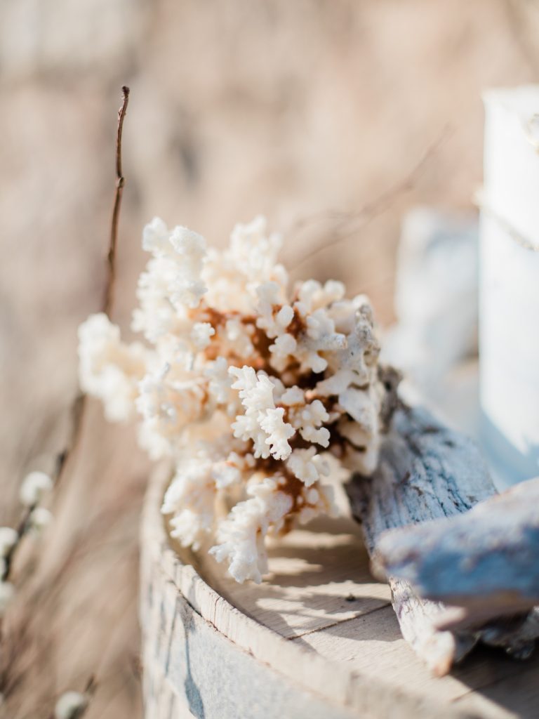 Coral details for a fine art beach wedding in Santorini
