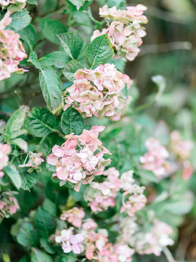 Autumn wedding at Dorfold Hall, Nantwich Cheshire